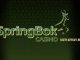 Is Springbok Casino Legit? Our Expert Review