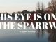 MP3 DOWNLOAD: Ignite Worship - His Eye is On the Sparrow [+ Lyrics] | CeeNaija