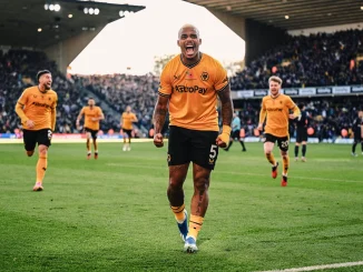 Premier League: Wolves Produce Stunning Late Comeback To Beat Spurs