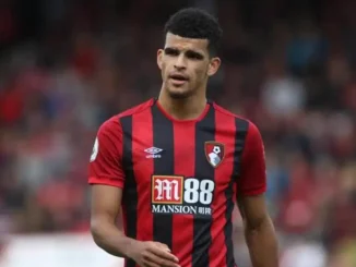 Agbonlahor Advises Arsenal Not To Sign Solanke