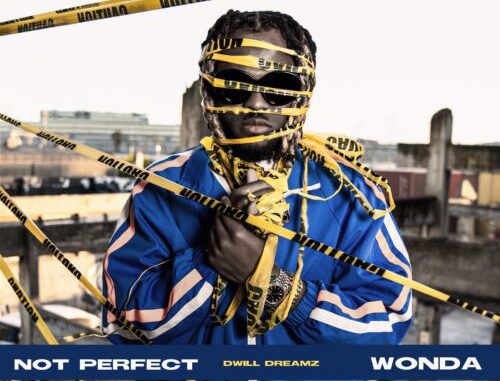 Dwill Dreamz - Not Perfect + Wonda