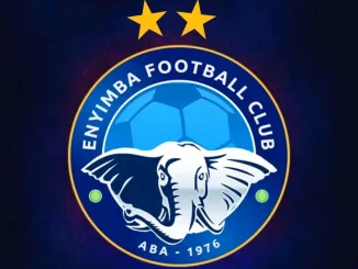 NPFL Fines Enyimba N2m For Misconduct, Suspends Official