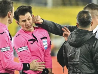 Turkish Leagues Suspended Indefinitely After Club President Punches Referee