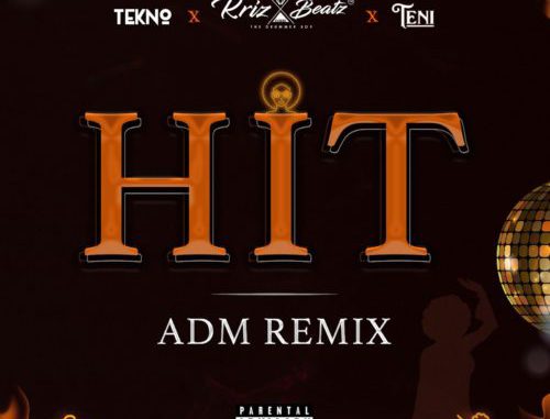 Krizbeatz x Tekno x Teni — "HIT ADM Remix"