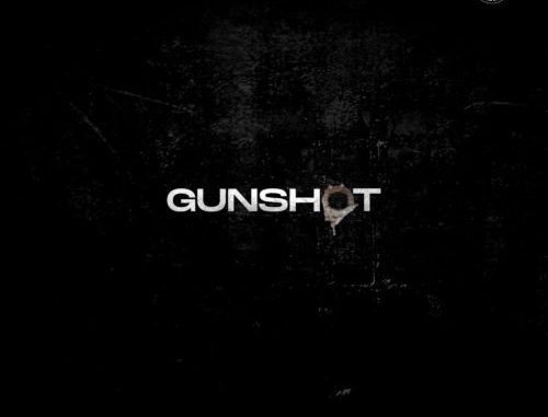 [Lyrics] Peruzzi - "Gunshot"