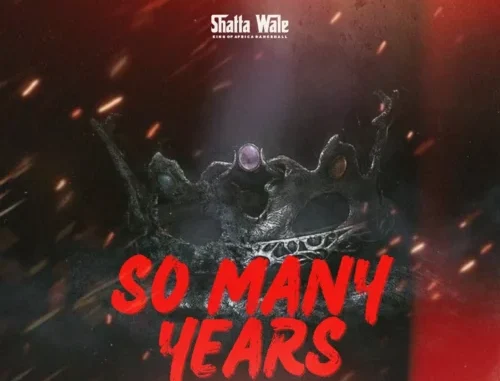 Shatta Wale - So Many Years