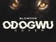 SlowDog — "Odogwu" (Cover)